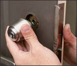 ���̌����ʐ^